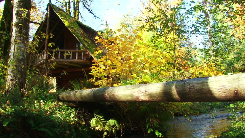 Log cabin set back in beautiful forest with river brook in autumn.