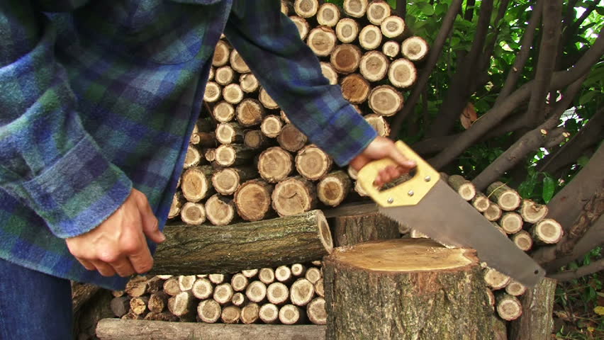 Man uses hand saw and cut wood for wood pile time lapse.