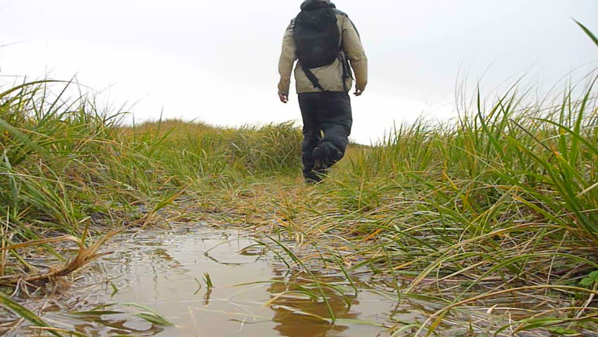 Man walking away from camera on rainy and windy path near Pacific Ocean.