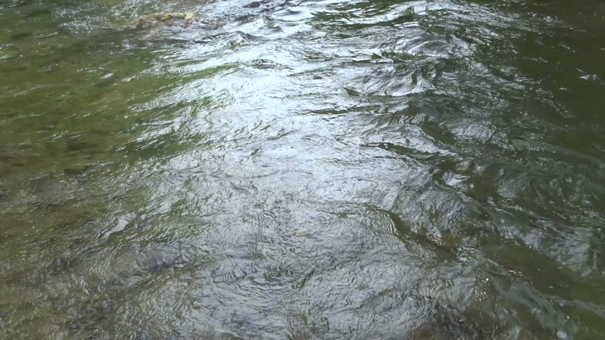 Swirling reflections on the surface of the water at the head of a rapids; includes the natural ambient sound of the rushing water (volume reduced); Fossil Creek Wilderness in Arizona
