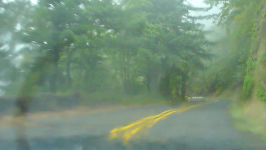Point of view driving through rainy Oregon forest road.