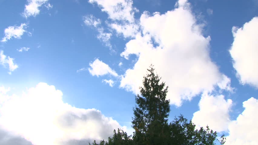 Clouds passing over large trees on partially blue sky day time lapse.