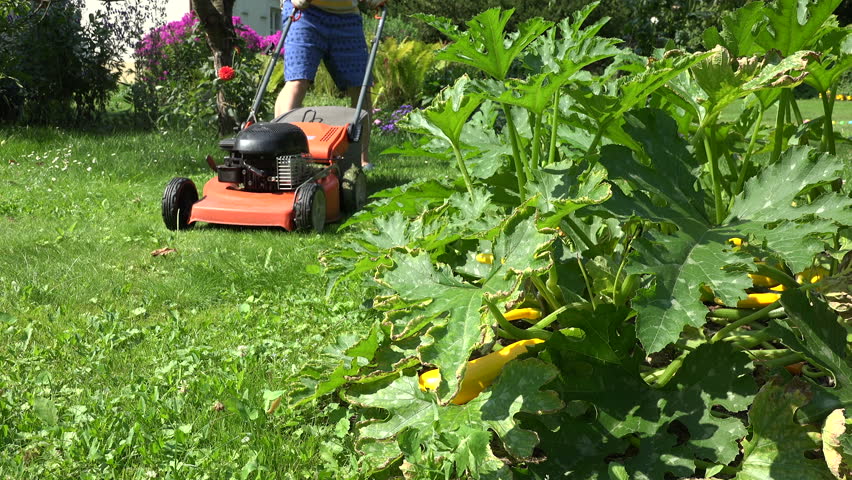 Do gardener? how you a flirt with 