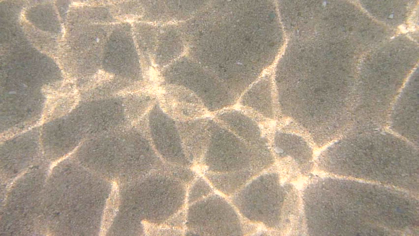 Underwater photography of sandy ocean floor around Chileno Bay, Cabo Mexico.