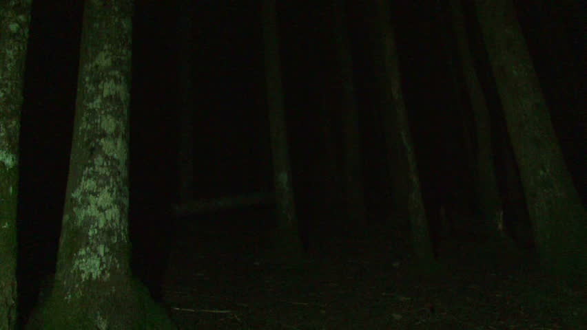 Person walking into deep, dark forest at night with lantern creates a scary setting.