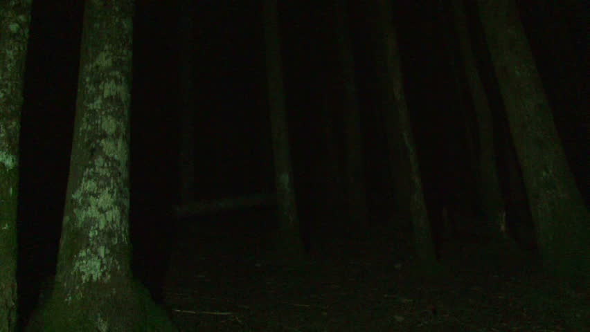 Person walking into deep, dark forest at night with lantern creates a scary