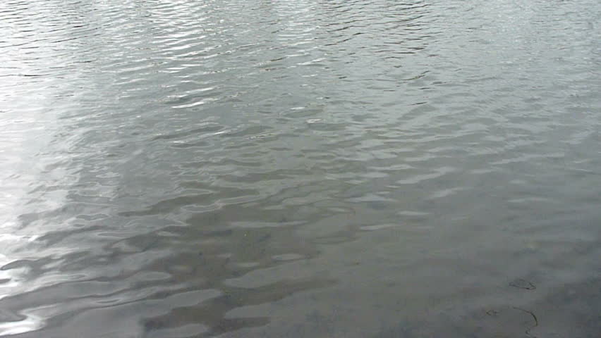 Lake water rippling background.