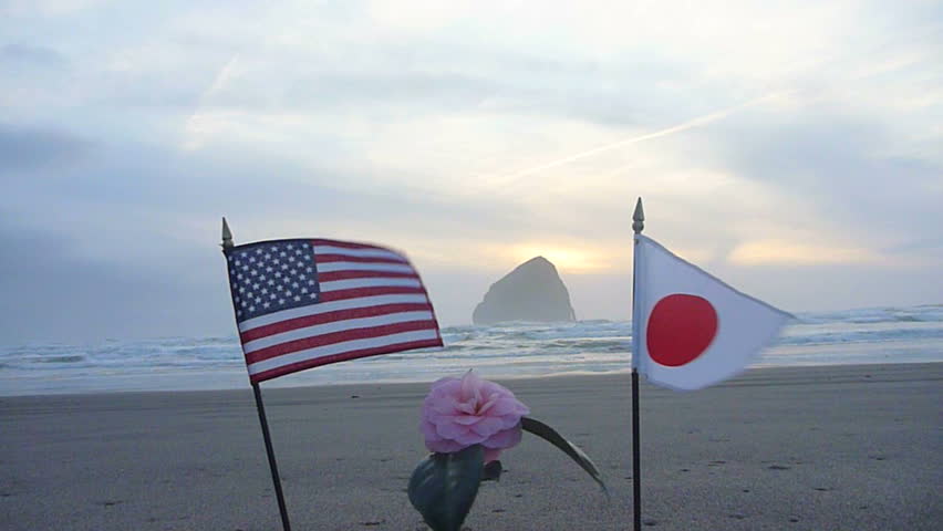 Person sets flower, Japan and United States of America flag into sand at the