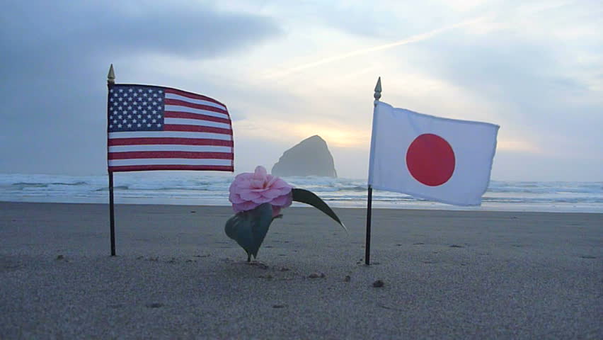 A flower with Japan and United States of America flag into sand at the ocean as