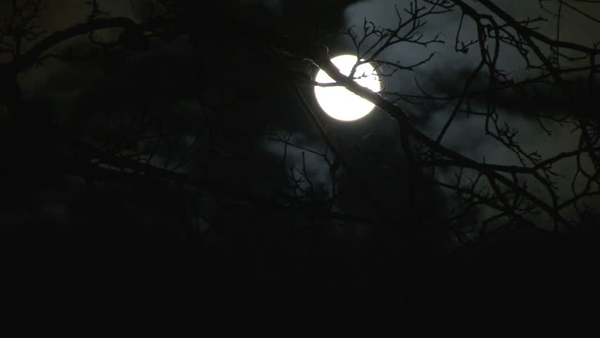 High Definition full moon time lapse with clouds passing and winter tree in