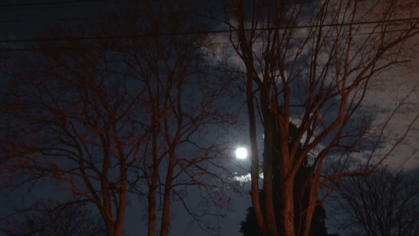 High Definition full moon time lapse with clouds passing and winter trees in