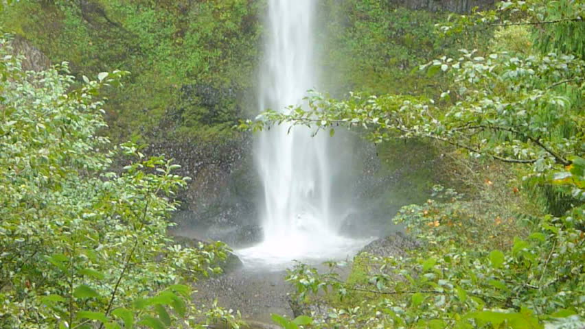 Zoom out on Oregon waterfall in thick forest scenic.