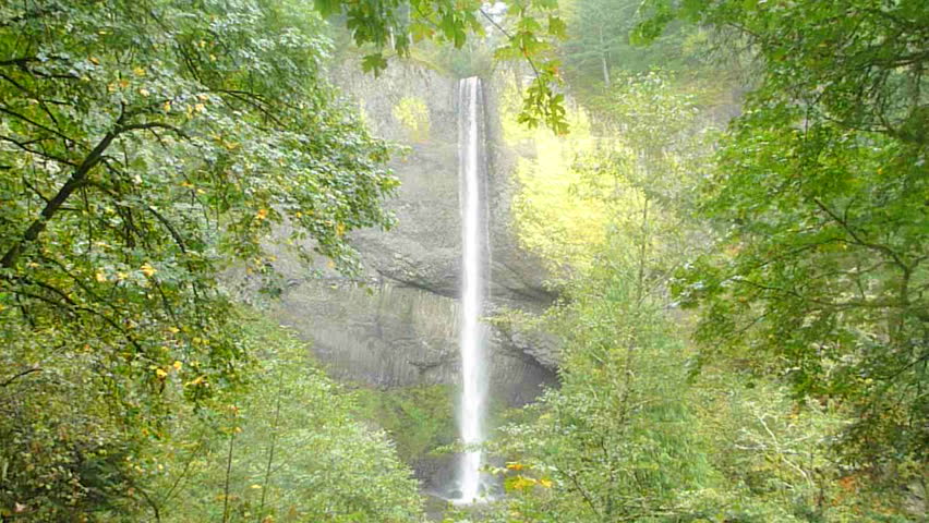 Oregon waterfall in thick forest scenic.