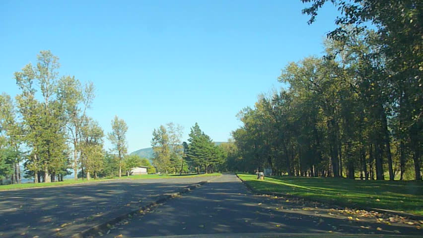 Car driving through forested park area on clear blue sky day.