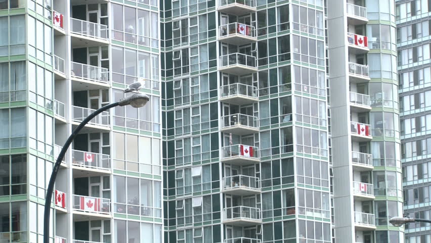 Seagull sits atop street light then flies off in Vancouver, Canada