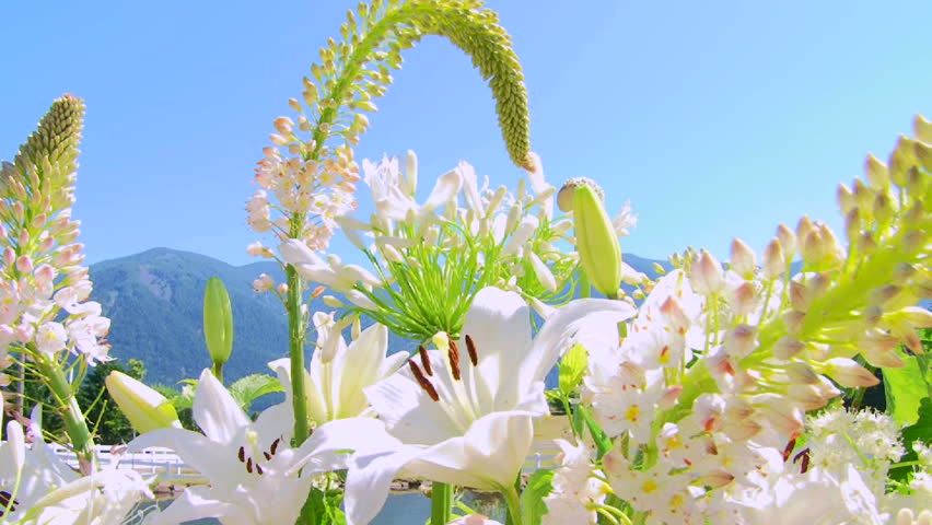 Beautiful white flower arrangement dances in the wind outside a Washington