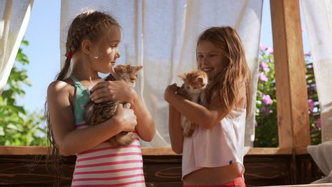 Two young girls holding ginger cute kittens on hands in slowmotion