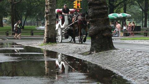 New York - Circa 2009: Central Park in 2009. Horse-drawn carriage on a rainy day in Central Park, New York City, New York.