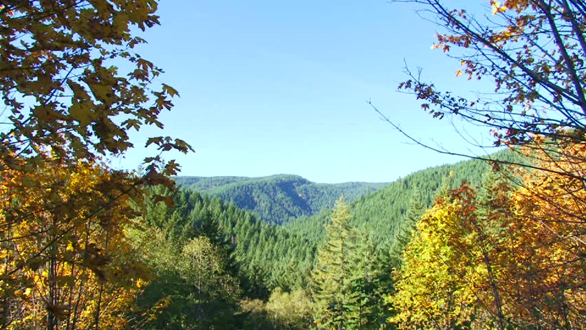 Camera tilt down revealing Cascade Mountain range and forest in autumn season.