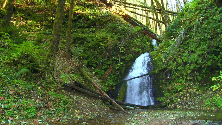 Camera tilts up to sky and trees after nature scenic of forest waterfall scenic.