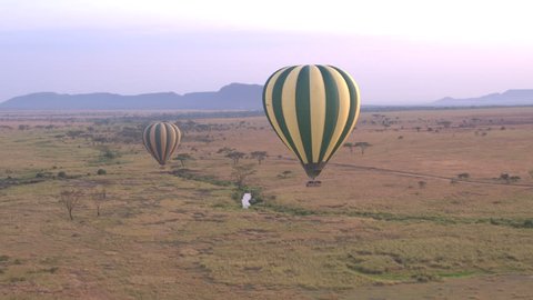 AERIAL: Safari hot air balloon flying above endless savannah plains rolling into the distance in stunning Serengeti National Park. Tourists sightseeing, enjoying African wildlife wilderness at dawn Video de stock