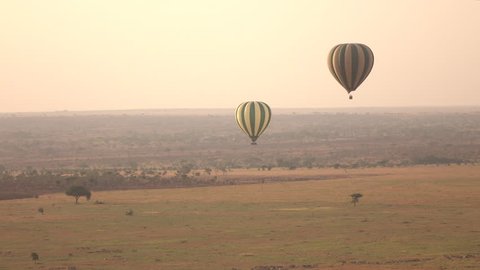 AERIAL: Tourists floating in hot air balloon safari above magnificent savanna plains in Serengeti African wilderness. Wild zebras running herding on the ground at beautiful golden light sunny morning