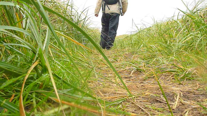 Man walking away from camera on rainy and windy path near Pacific Ocean.