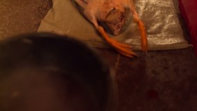 Butchering a Goose carcass video