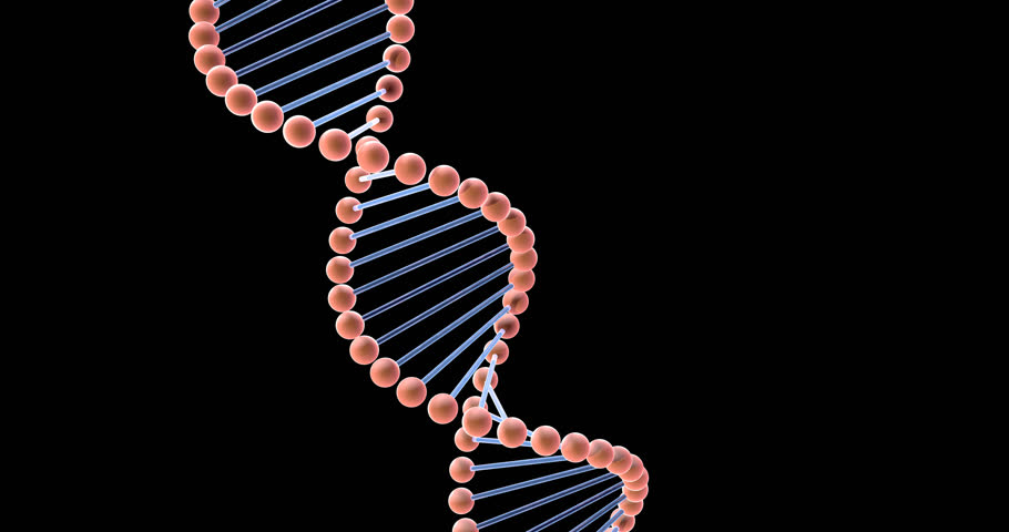 helix shape helix shape