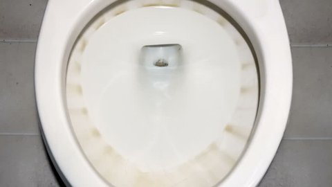 Flushing $100 dollar bills down the toilet