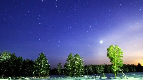 Stars over the winter forest timelapse.