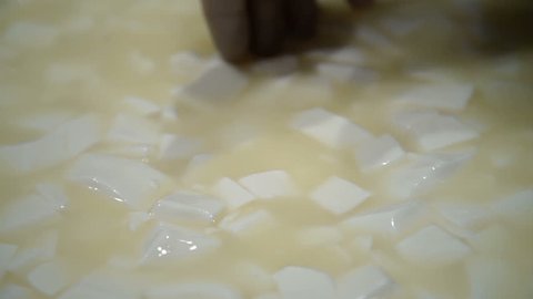 Production of Cheese with Mold . The Cheese-maker checks the Quality of the Curd . Preparing for the Formation of Curd Cheeses