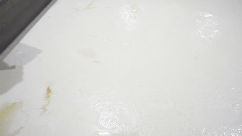 Production of Cheese with Mold . The Cheese-maker checks the Quality of the Curd . Preparing for the Formation of Curd Cheeses