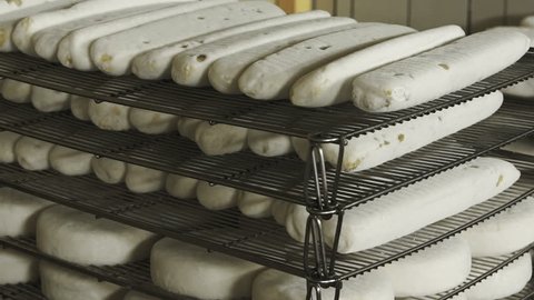 Cheese Manufacture . Heads of Young Cheese with a Mold in the Shelf on a Private Farm 3.