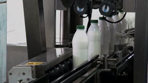 Part Automatic Line for Bottling Milk . Bottles on the Conveyor