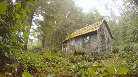 Old Trappers cabin in the woods on Vancouver Island