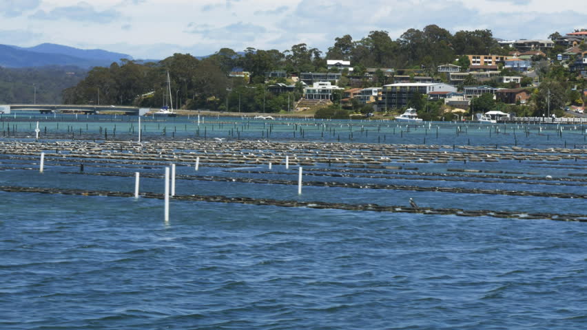 oyster racks and the bridge at merimbula on the nsw south coast Royalty-Free Stock Footage #23181874