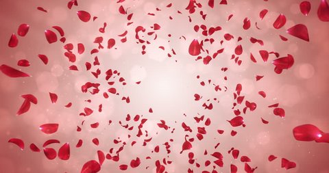 Animation of romantic flying red rose flower petals backdrop. Ideal for St. Valentine's Day, Mother's Day, wedding anniversary greeting cards, wedding invitation or birthday e-card. Seamless loop 4k