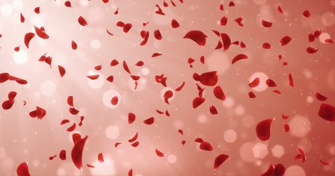 Animation of romantic flying light red rose flower petals backdrop. For St. Valentine's Day, Mother's Day, wedding anniversary greeting cards, wedding invitation or birthday e-card. Seamless loop 4k