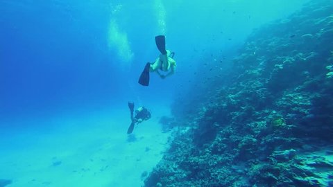 Scuba divers exploring the ocean