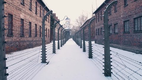 Steadicam walk between barbed wire fences. Auschwitz Birkenau, German Nazi concentration and extermination camp. Barracks in falling snow. 4K video