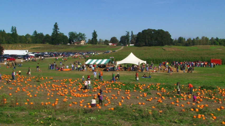 OREGON, PORTLAND - CIRCA AUGUST 2011: Families and friends at a pumpkin patch