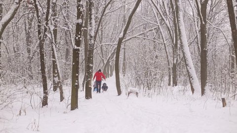 Funny dad carries two children in a sled on a winter alley.