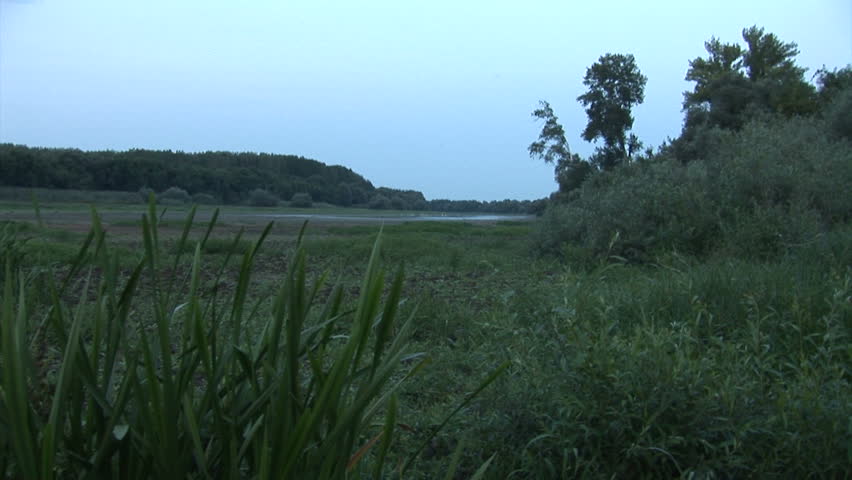 3 in 1, bird habitat