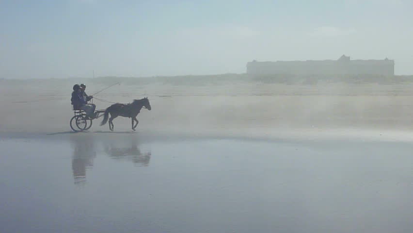 People enjoy horse drawn carriage on foggy day at Long Beach, Washington.