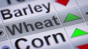 Wheat index of the stock market. Up. Looping. - Powered by Shutterstock - Get 15% off with code: PIKWIZARD15
