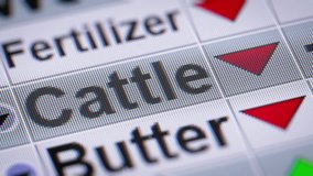 Cattle index of the stock market. Down. Looping. - Powered by Shutterstock - Get 15% off with code: PIKWIZARD15