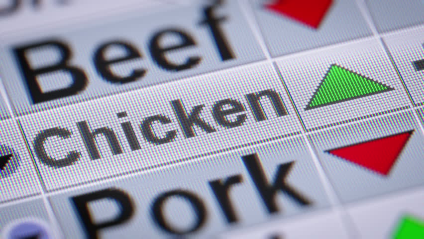 Chicken index of the stock market. Up. Looping. - Powered by Shutterstock - Get 15% off with code: PIKWIZARD15