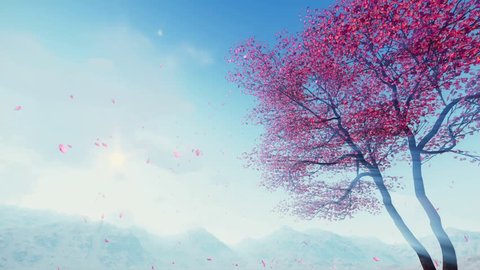 Flowering sakura cherry tree and flower petals falling from treetop in slow motion against sunny sky and foggy mountains at spring day. Realistic 3D animation rendered in 4K