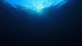 Underwater footage in blue ocean with sunlight on sea surface